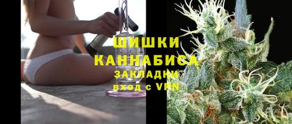 мдпв Дмитров