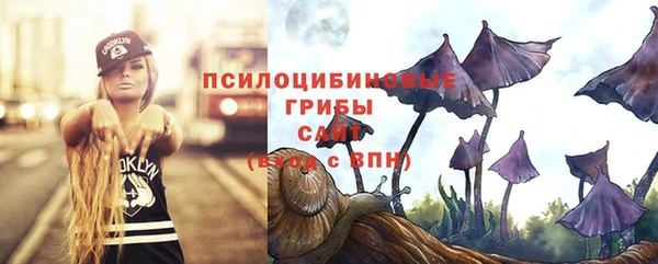 mdma Дмитровск