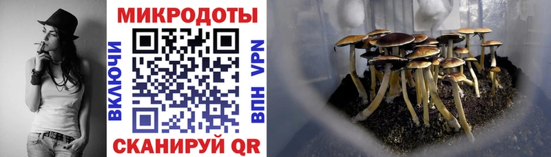 Купить  Гусиноозёрск  Галлюциногенные грибы Cubensis 